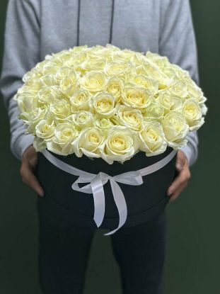 Изображение Мариэлла
