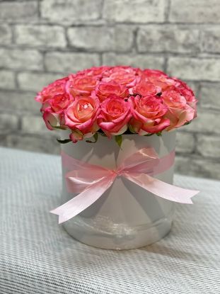 Изображение Лаура