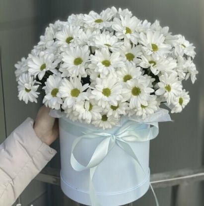 Изображение Элизабетта