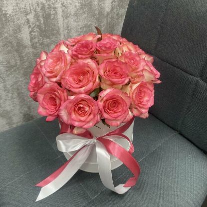 Изображение Катерина