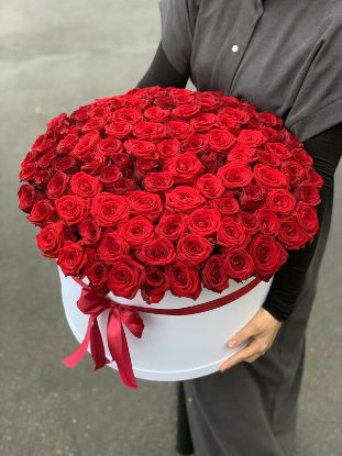 Изображение Шарлотта
