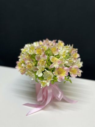 Изображение Хлоя