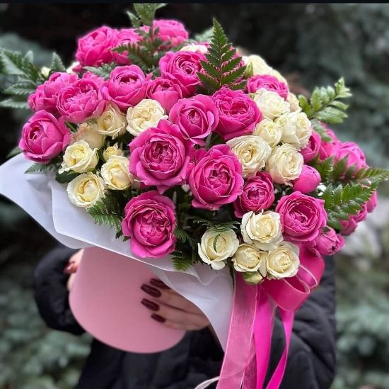 Изображение Сирварт