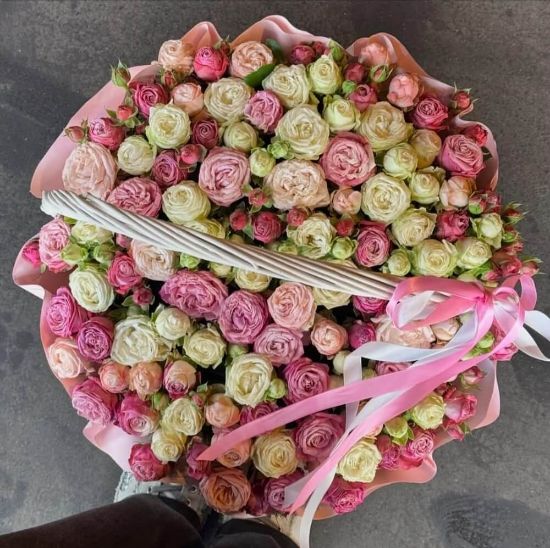Աղավնի - ի նկար