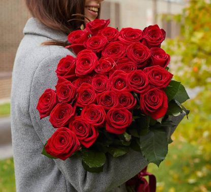 Изображение  31 красная роза