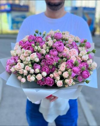 Изображение Анита