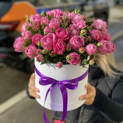 Изображение Брайни