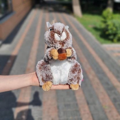 Изображение Игрушка #1
