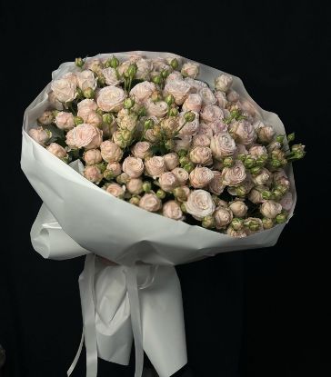Изображение Роксана