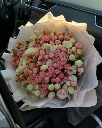 Изображение Алина