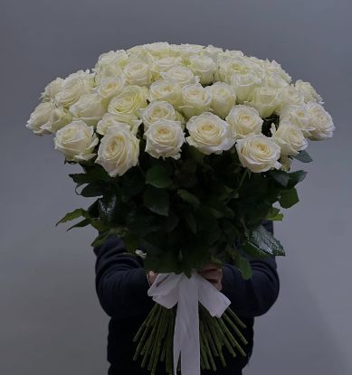 Օլա - ի նկար