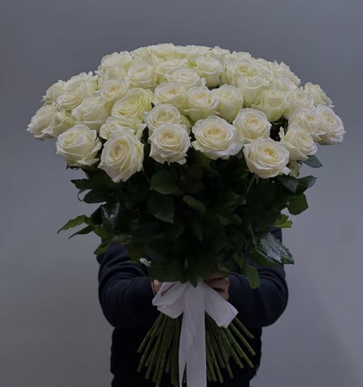Օլա - ի նկար