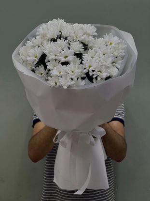 Բելլա - ի նկար