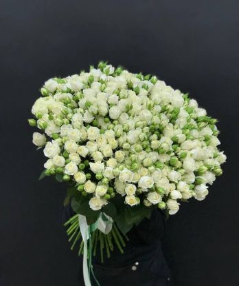 Մելիսսա - ի նկար