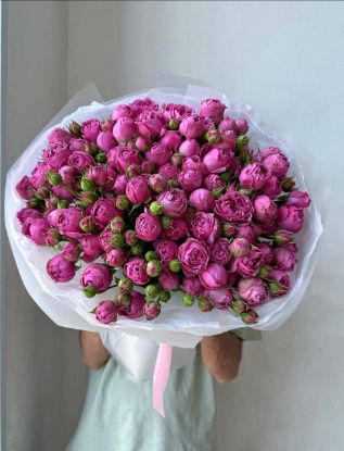 Պիոնի ամպ - ի նկար